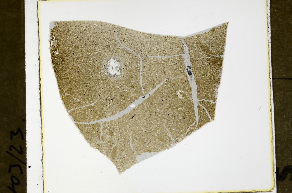 Plane Polarized, S63472