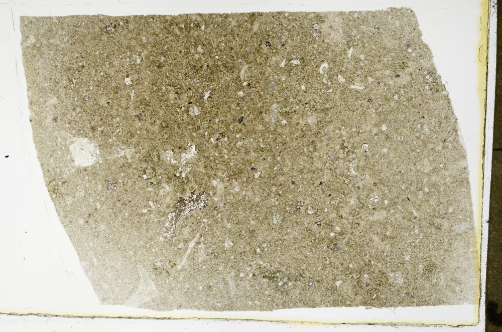 Plane Polarized, S63477