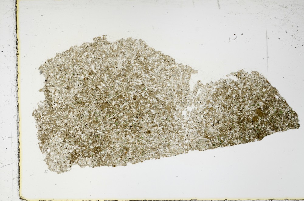 Plane Polarized, S63490