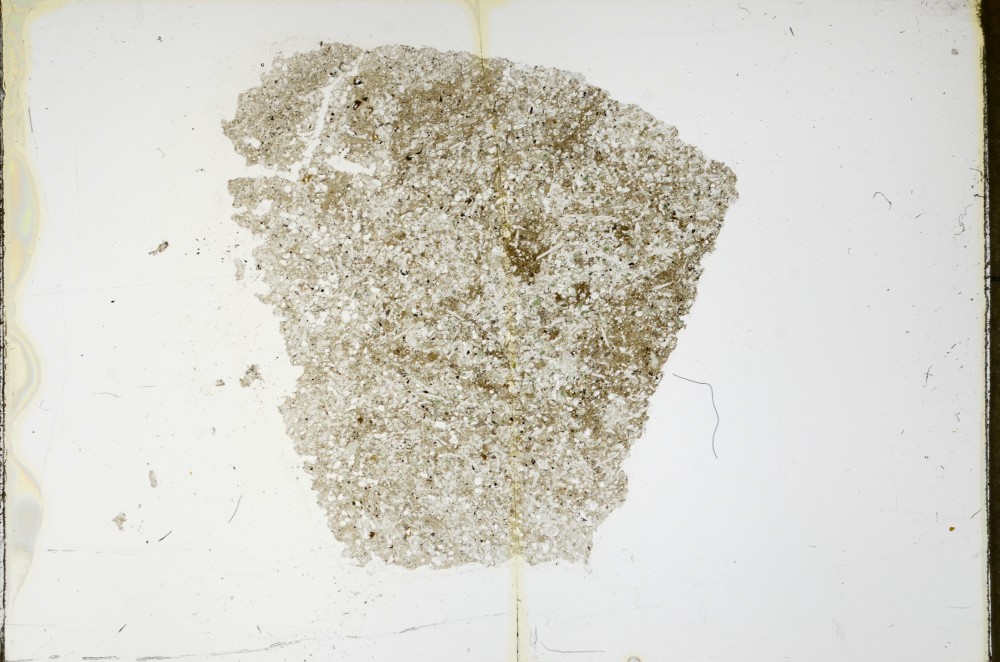 Plane Polarized, S63490/A