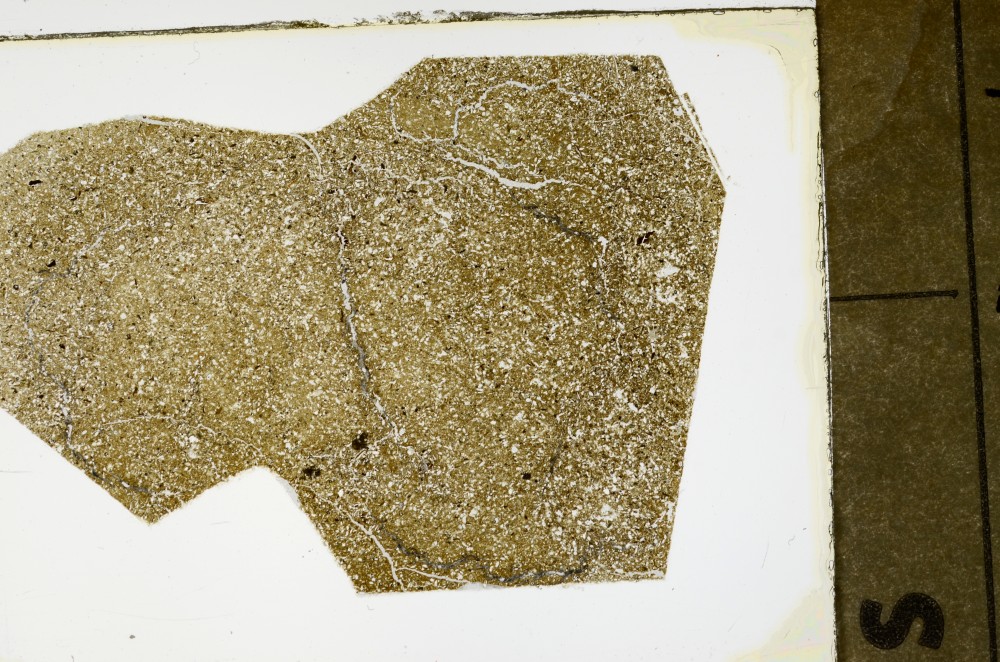 Plane Polarized, S63505