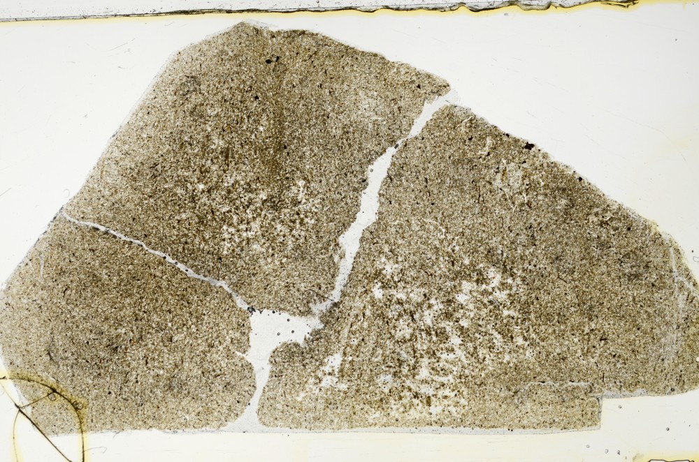 Plane Polarized, S63508