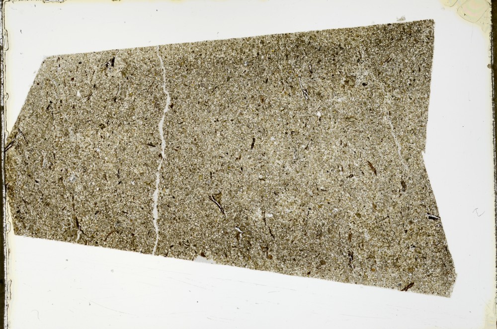 Plane Polarized, S63509