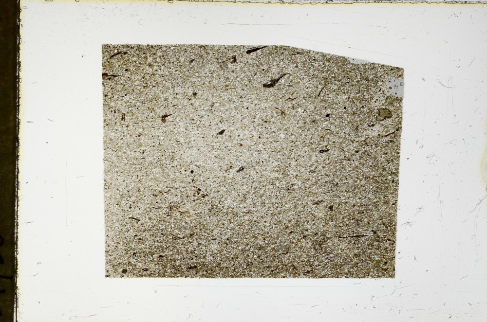 Plane Polarized, S63510