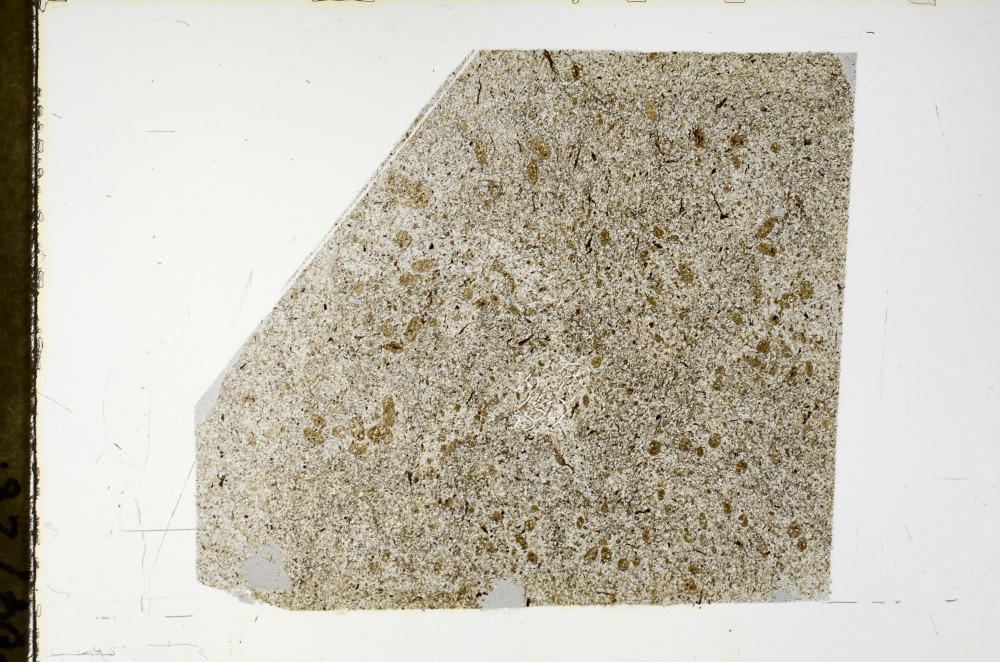 Plane Polarized, S63512