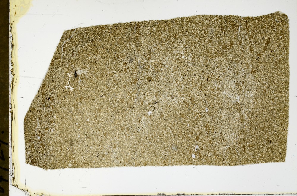 Plane Polarized, S63513