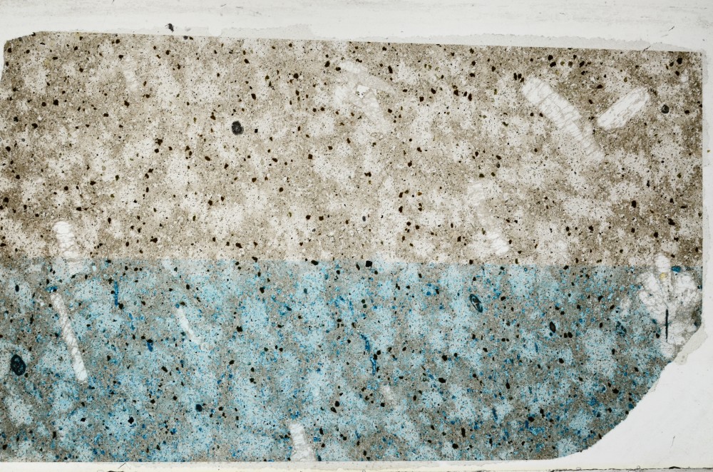 Plane Polarized, S63525