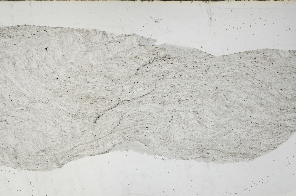 Plane Polarized, S63541