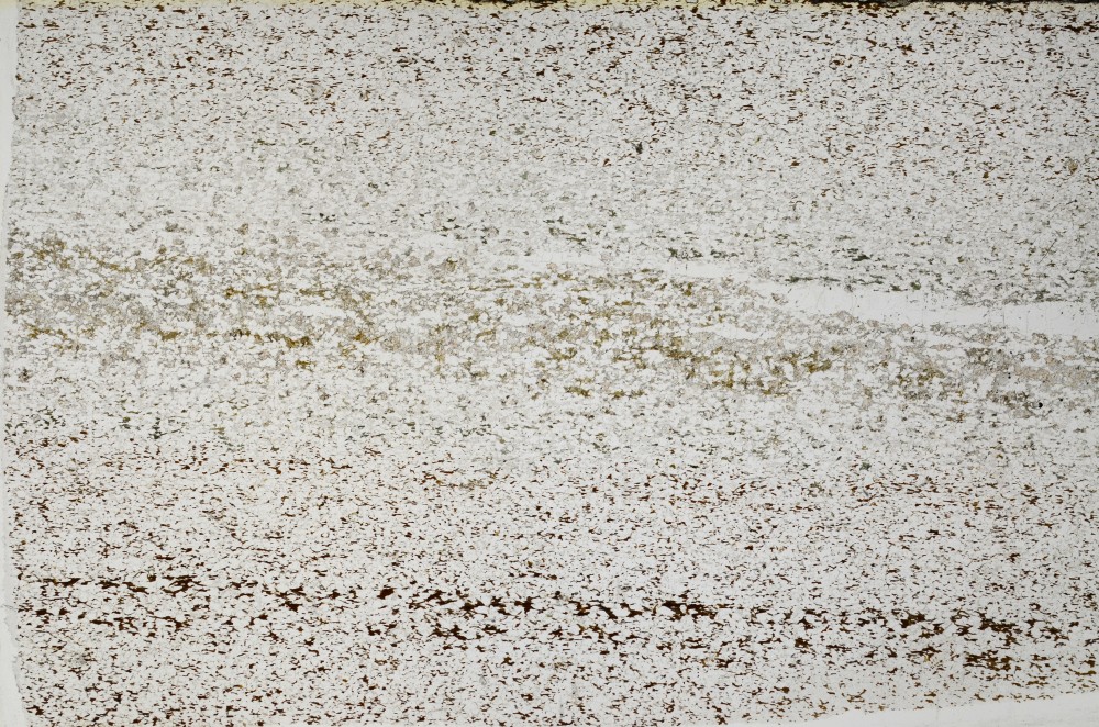 Plane Polarized, S63564