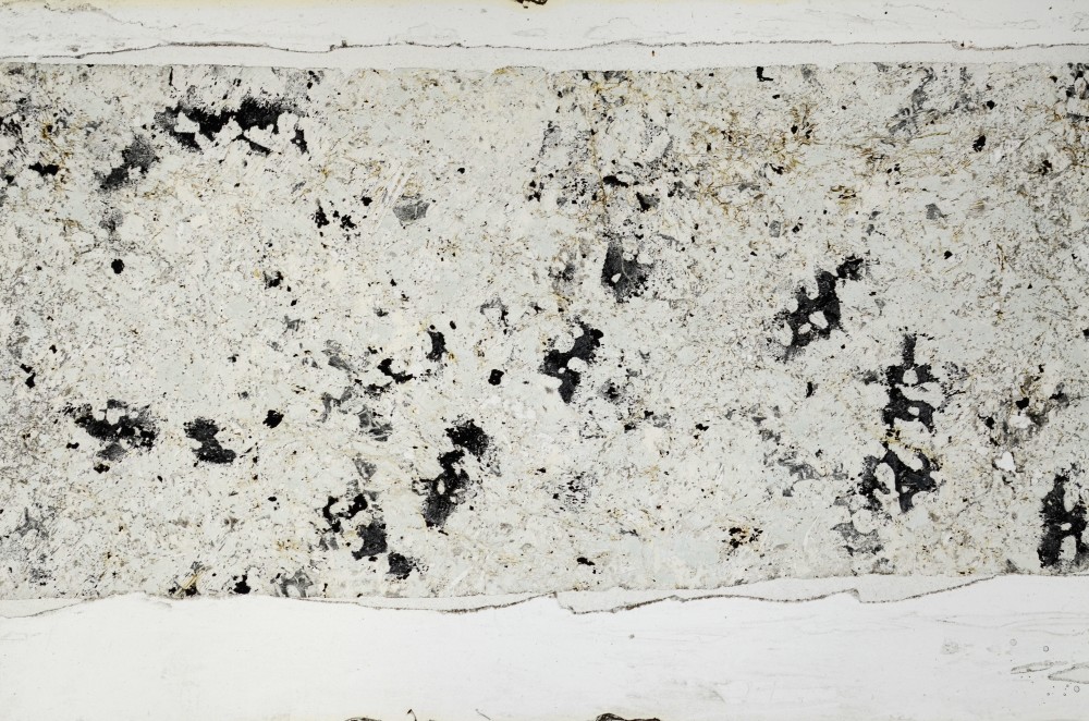 Plane Polarized, S63584