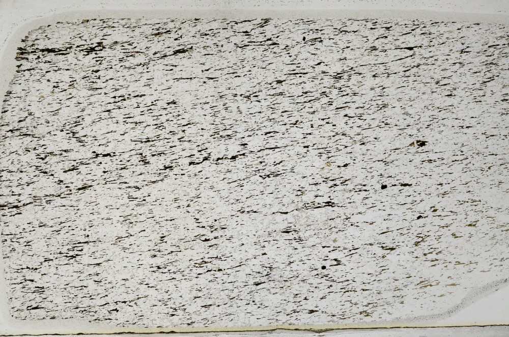 Plane Polarized, S63585