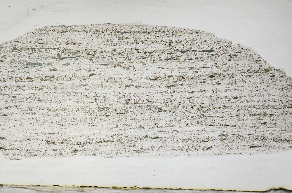 Plane Polarized, S63586