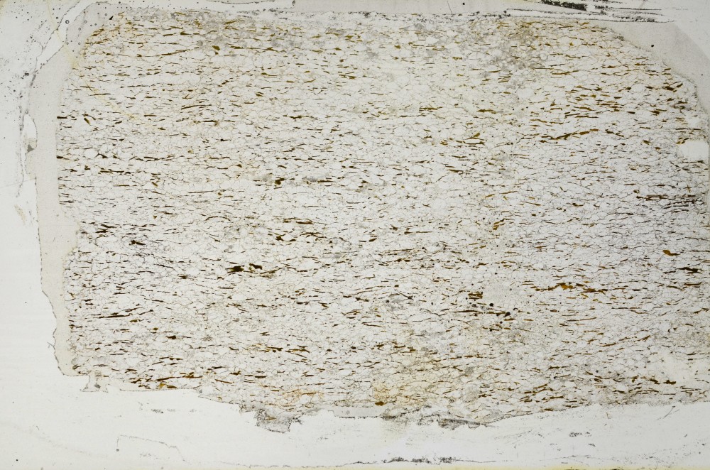 Plane Polarized, S63587