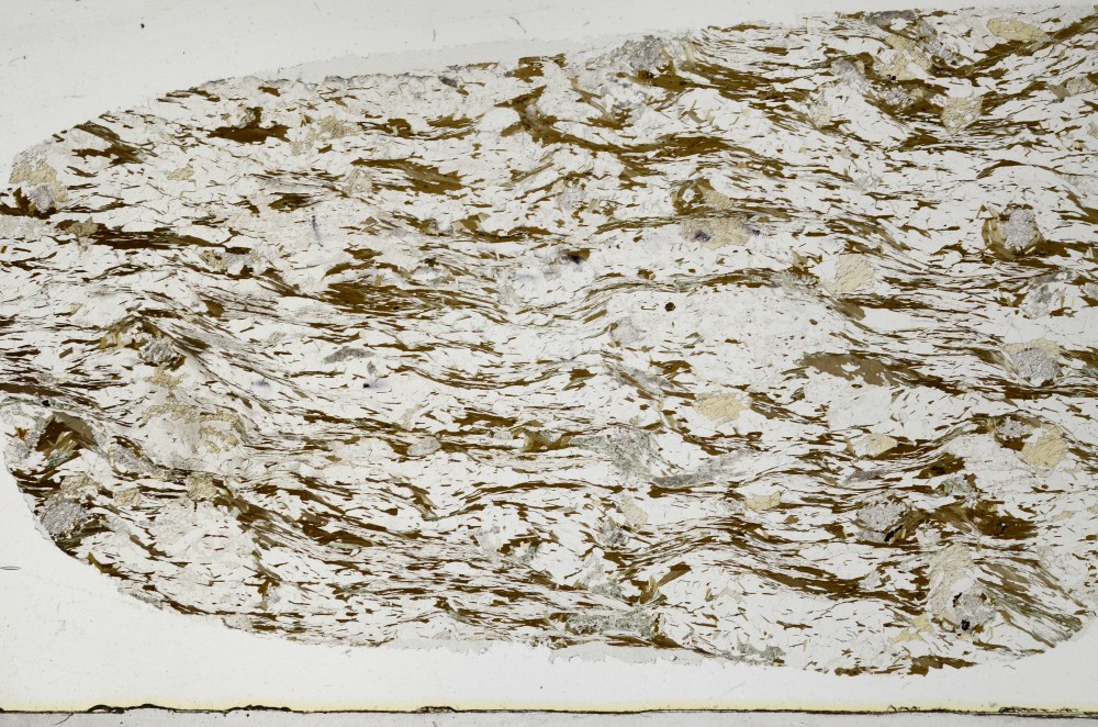 Plane Polarized, S63597