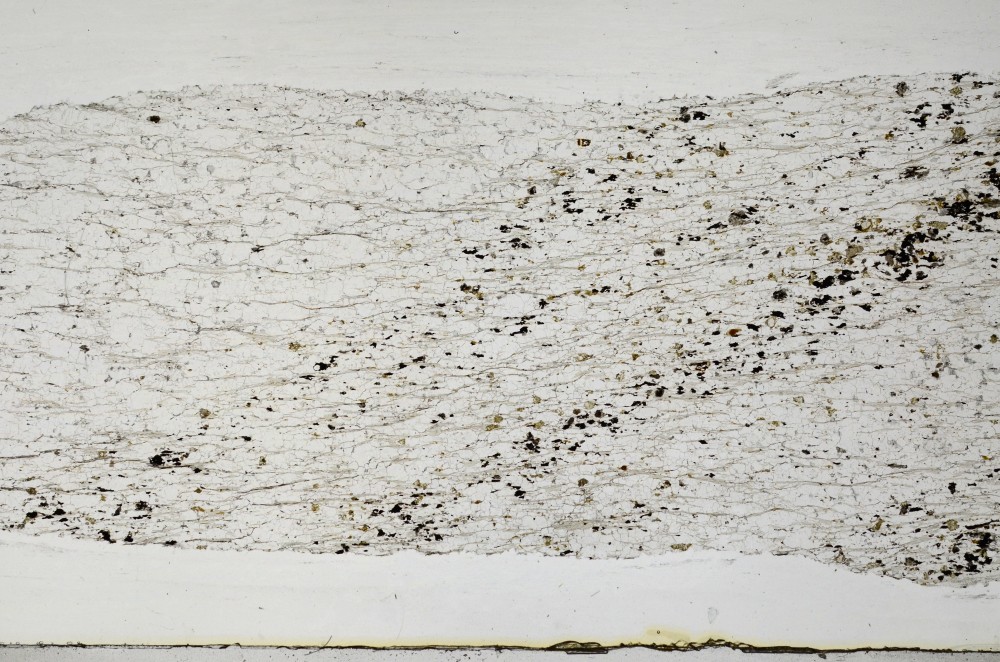 Plane Polarized, S63599