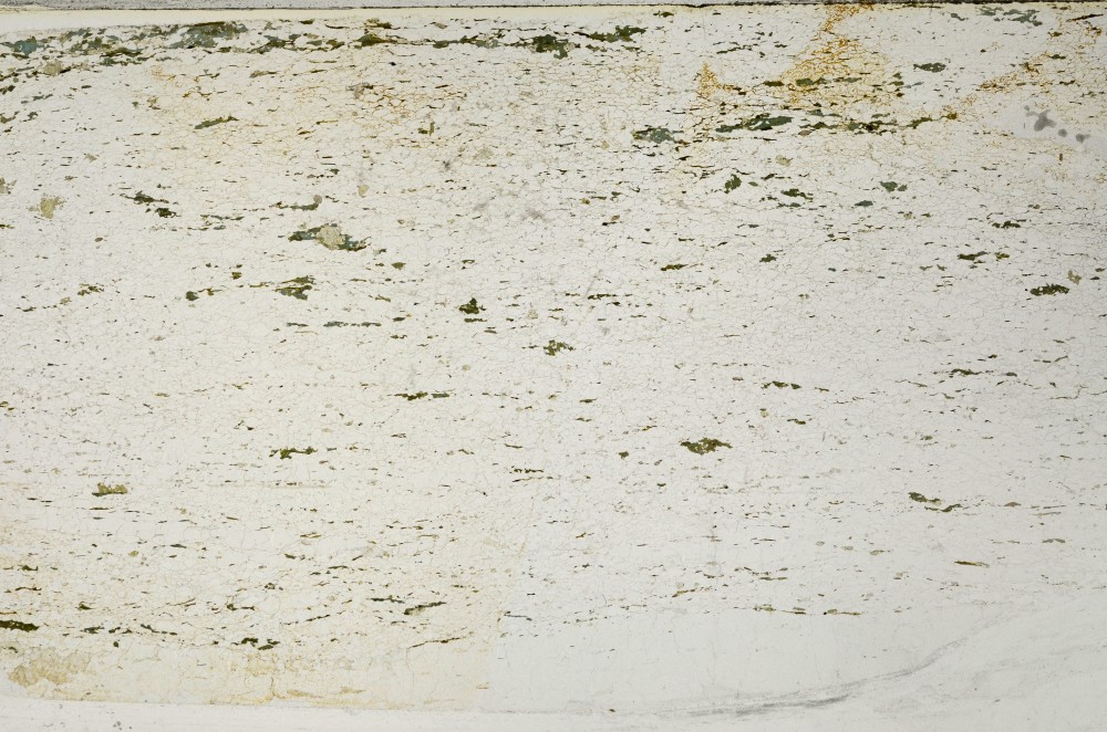 Plane Polarized, S63601