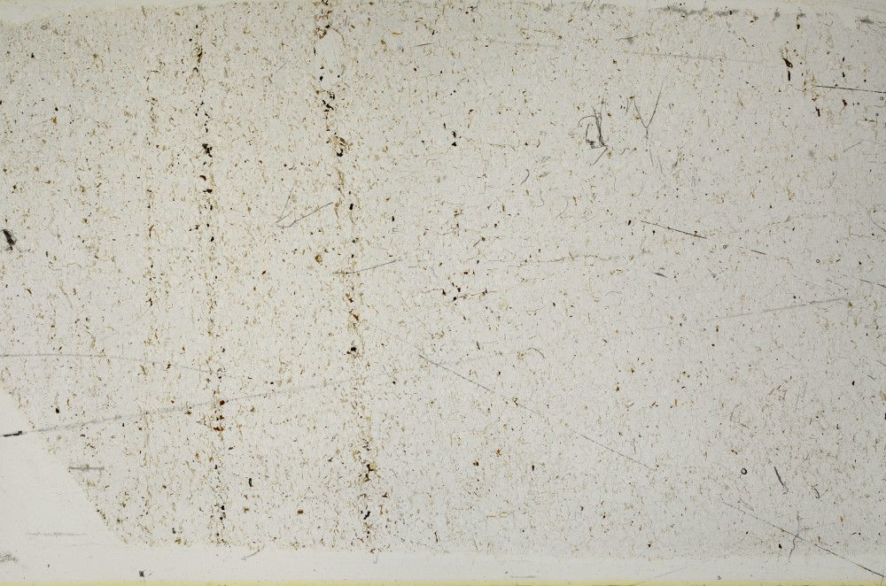 Plane Polarized, S63607