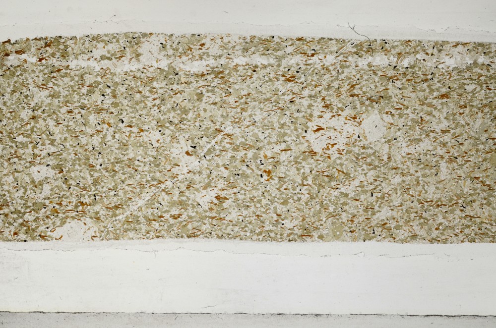 Plane Polarized, S63639