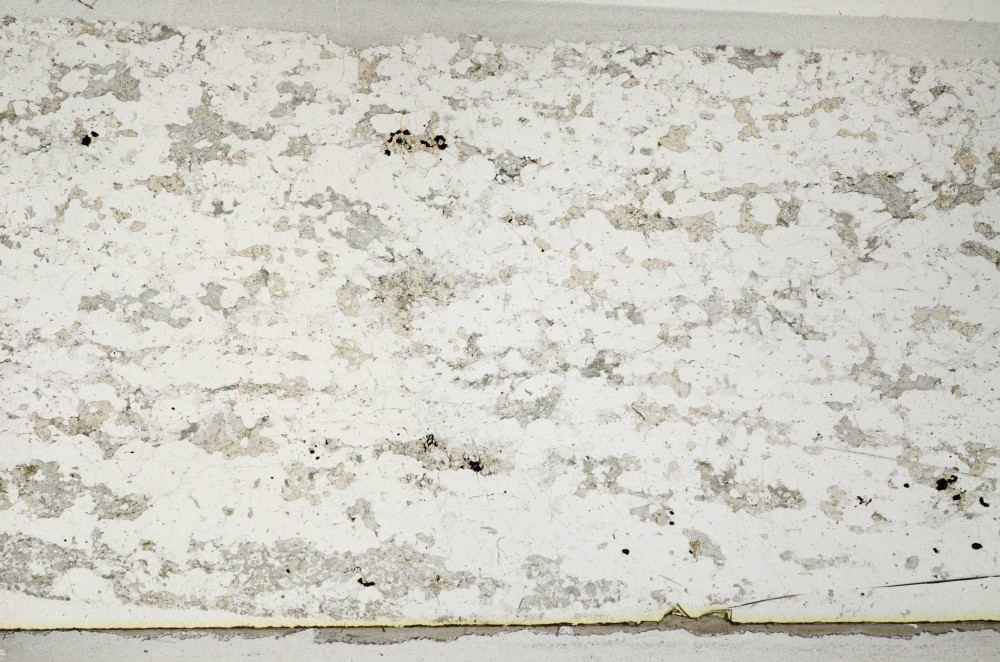 Plane Polarized, S63640