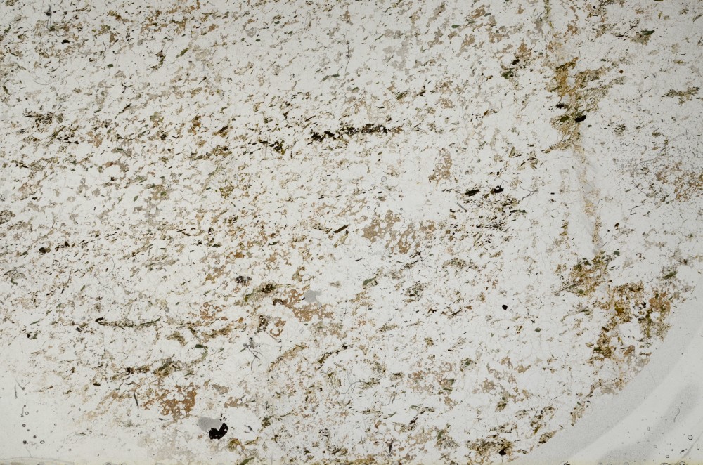 Plane Polarized, S63644