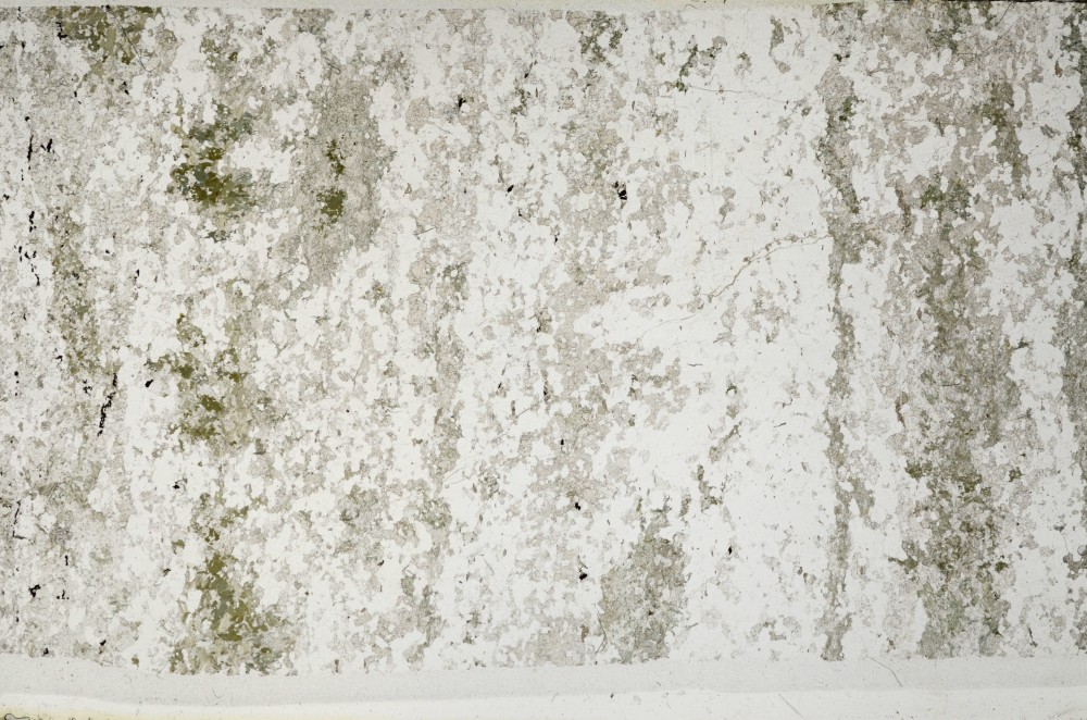 Plane Polarized, S63645