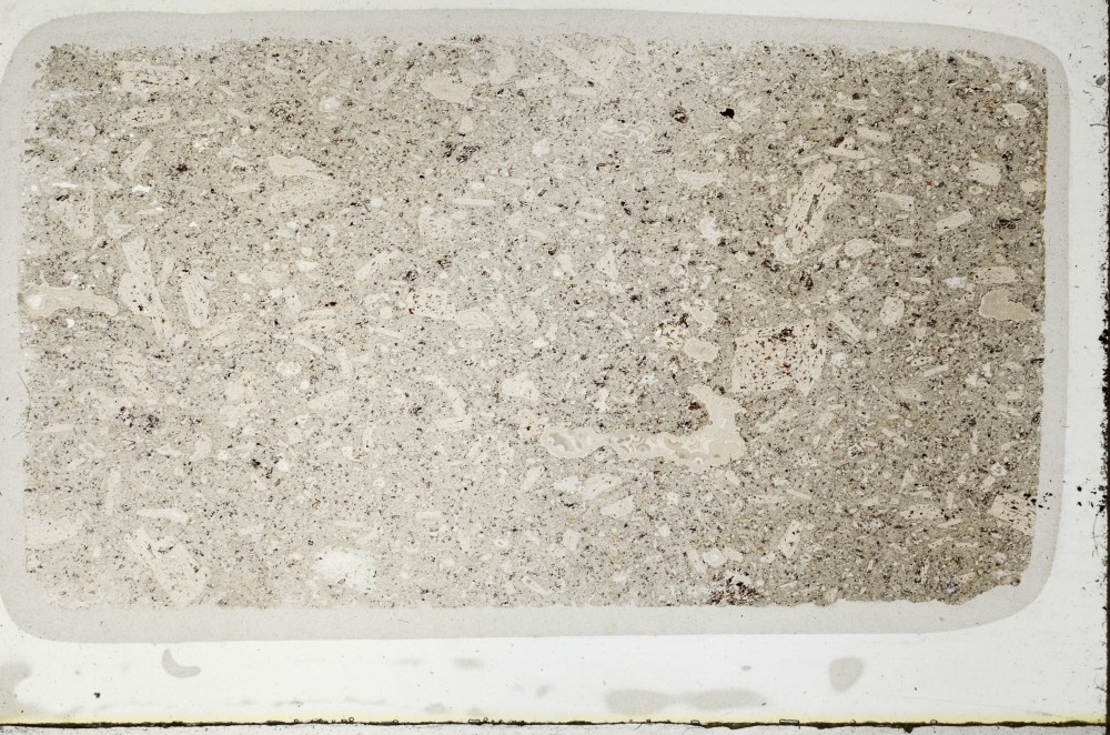 Plane Polarized, S63683