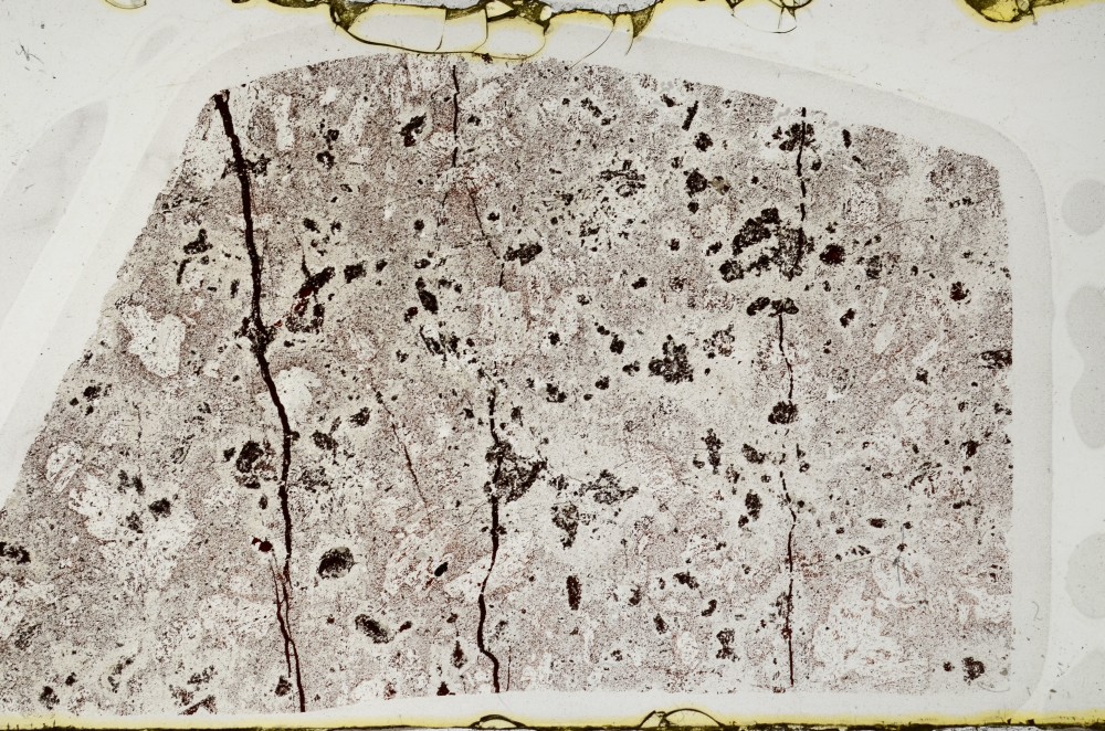 Plane Polarized, S63697