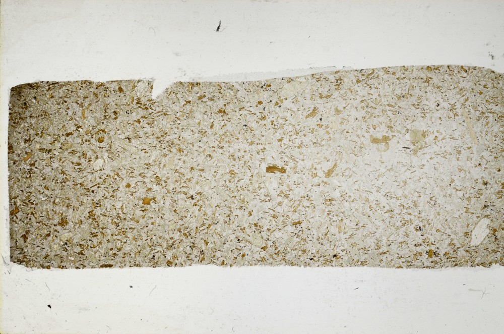 Plane Polarized, S63729
