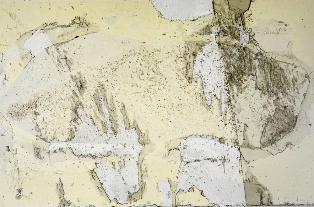 Plane Polarized, S63734