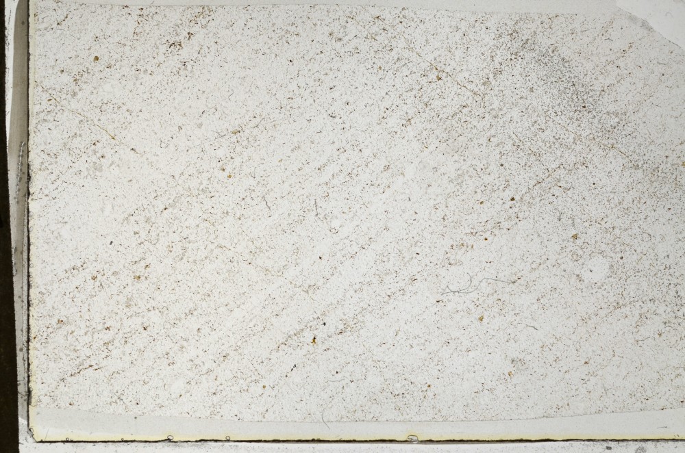 Plane Polarized, S63735