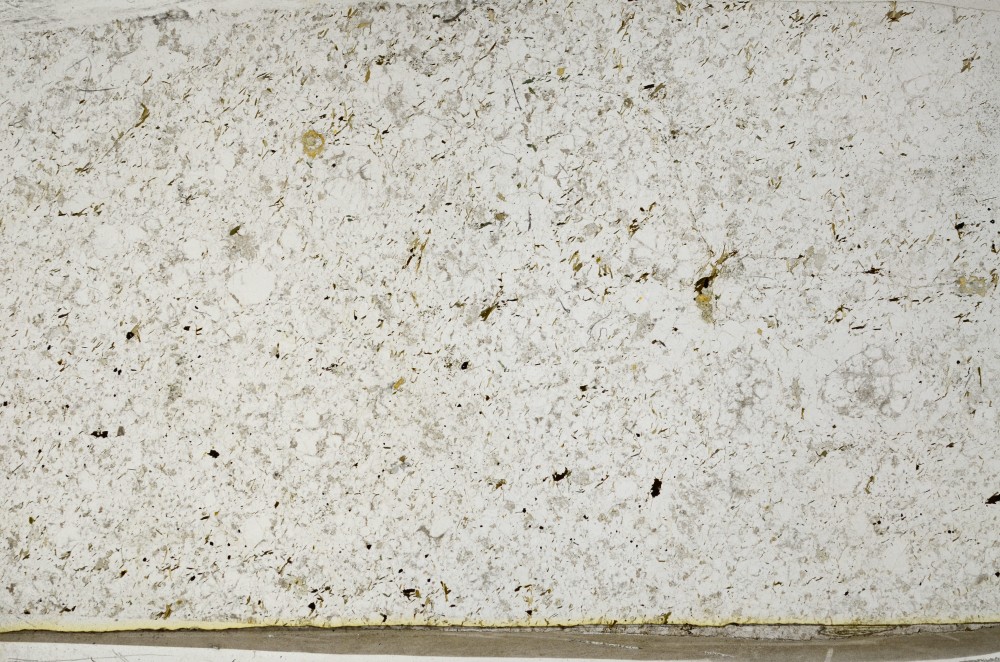 Plane Polarized, S63737