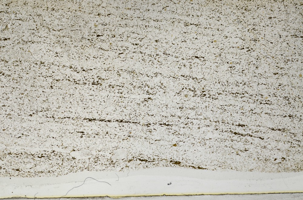 Plane Polarized, S63739