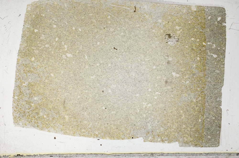 Plane Polarized, S63791