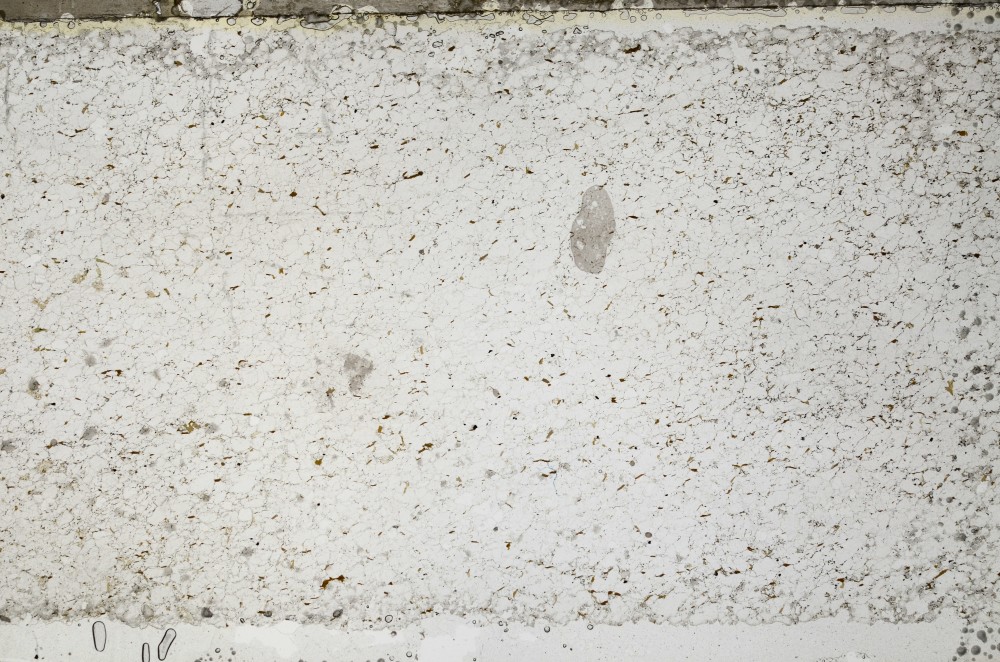 Plane Polarized, S63810