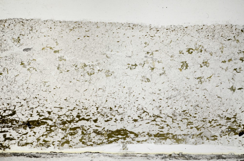 Plane Polarized, S63821