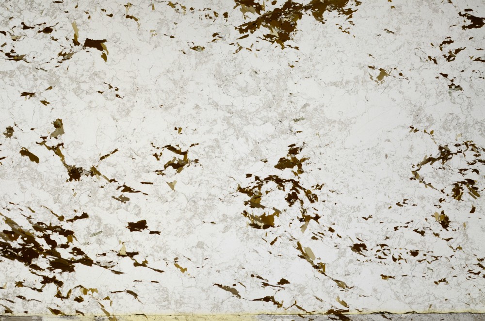 Plane Polarized, S63837