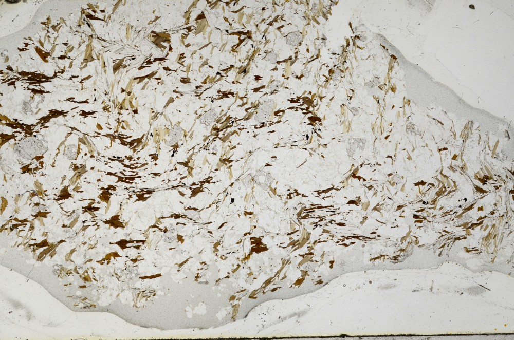 Plane Polarized, S63841