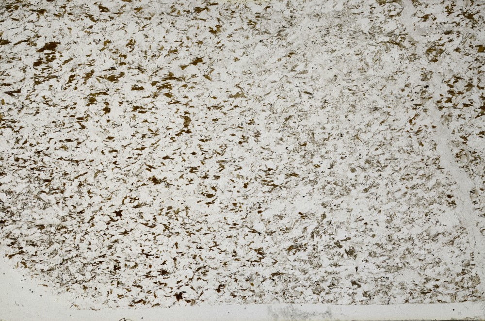 Plane Polarized, S63842