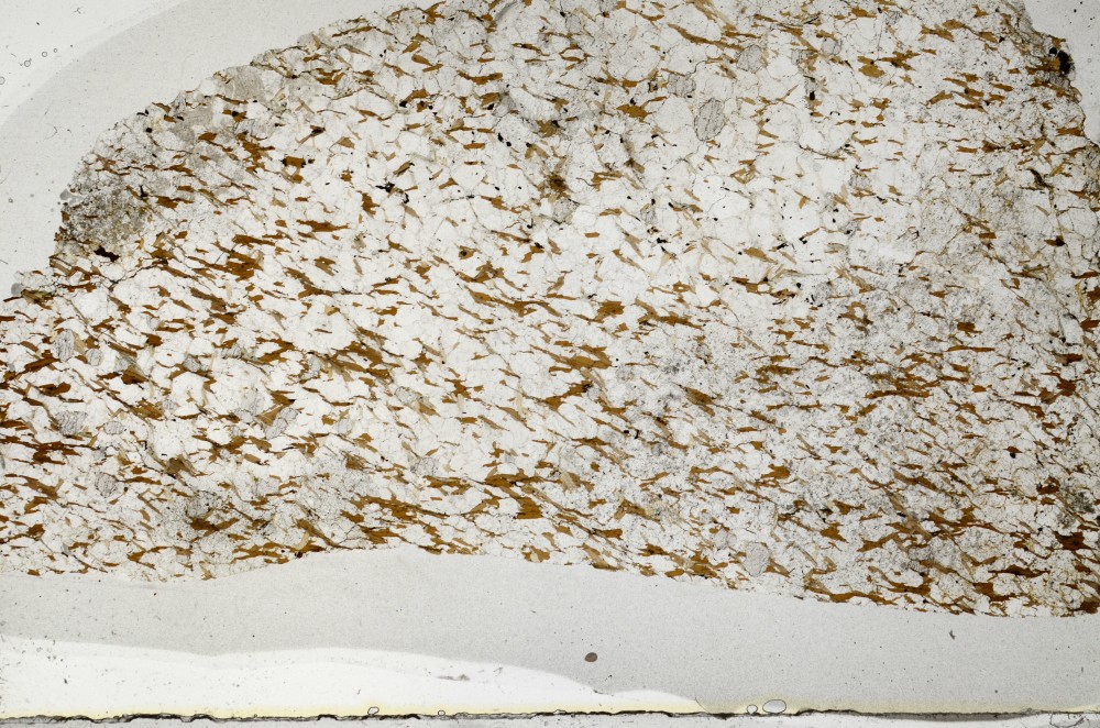 Plane Polarized, S63845