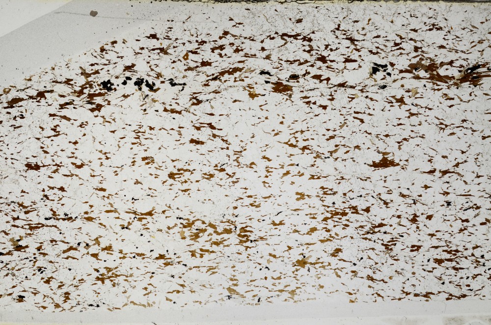 Plane Polarized, S63848