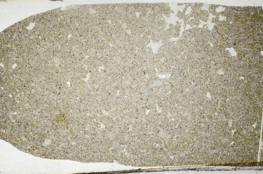 Plane Polarized, S63859