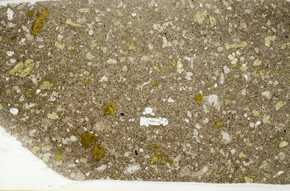 Plane Polarized, S63863