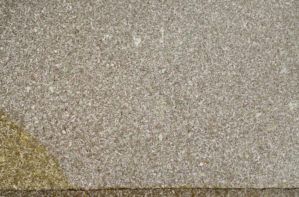 Plane Polarized, S63867