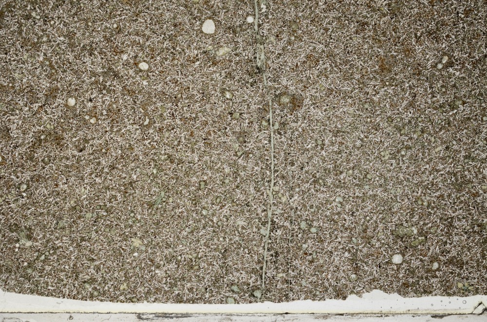Plane Polarized, S63868