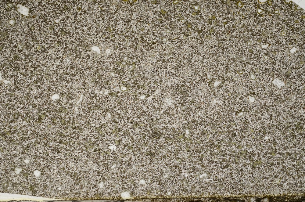 Plane Polarized, S63869