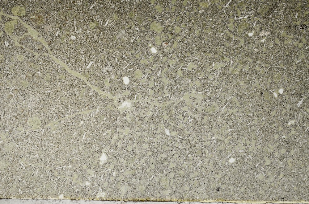 Plane Polarized, S63874