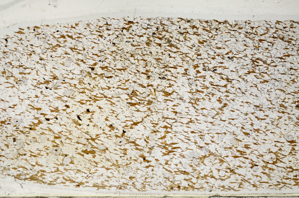 Plane Polarized, S63888