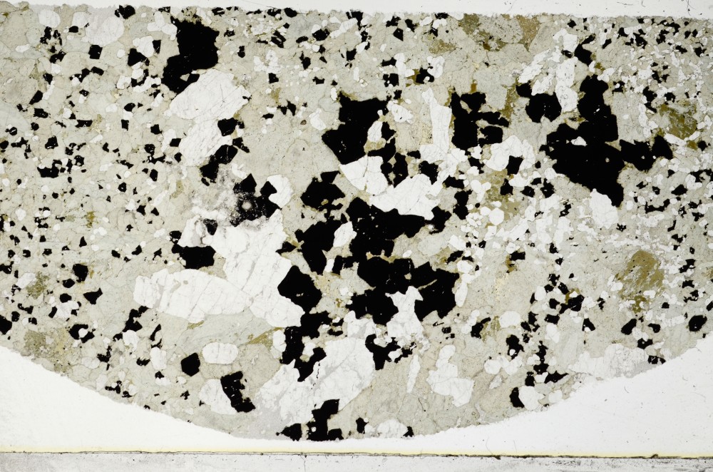 Plane Polarized, S64013