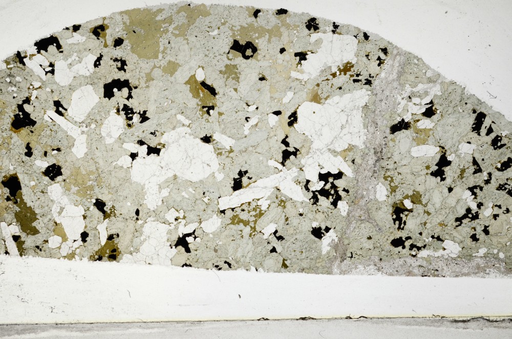 Plane Polarized, S64017