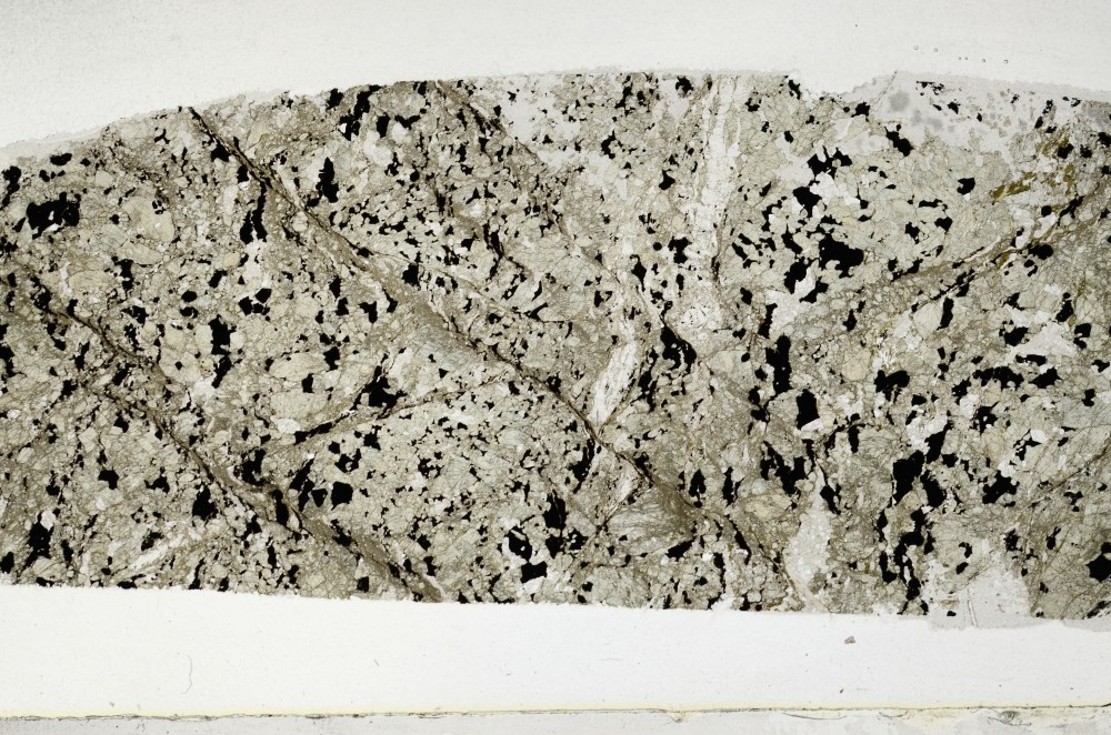 Plane Polarized, S64018